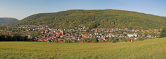 Panoramabild Schneeberg